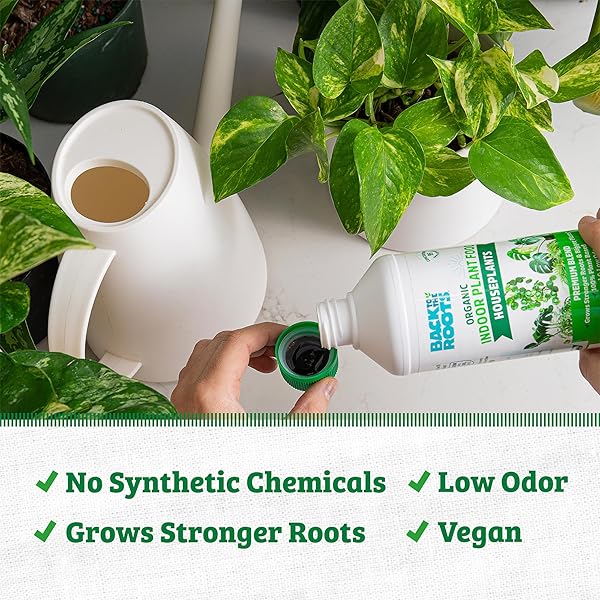 BACK TO THE ROOTS NATURAL & ORGANIC INDOOR PLANT FOOD (16OZ VALUE SIZE – 95 FEEDS!), GREAT FOR HOUSEPLANTS, LOW ODOR, VEGAN, EASY TO APPLY LIQUID FORMULA