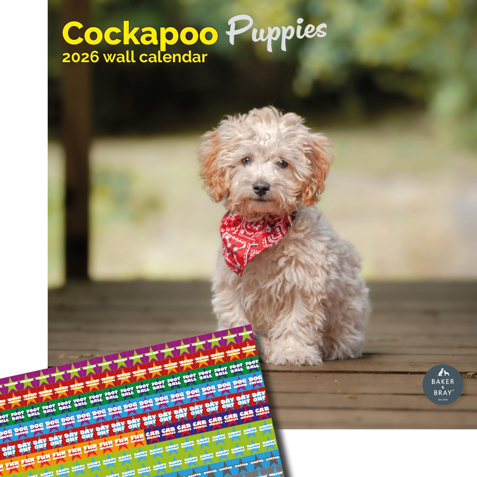 Baker and Bray Cockapoo Puppies Calendar 2026, Large Square Wall Calendar With Organisational Stickers, 16 Month, Cockapoo Puppies Gift Dog Calendar.