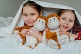 General Healthcare Cozy Creatures Monkey Microwaveable Plush Toy 30cm view 4