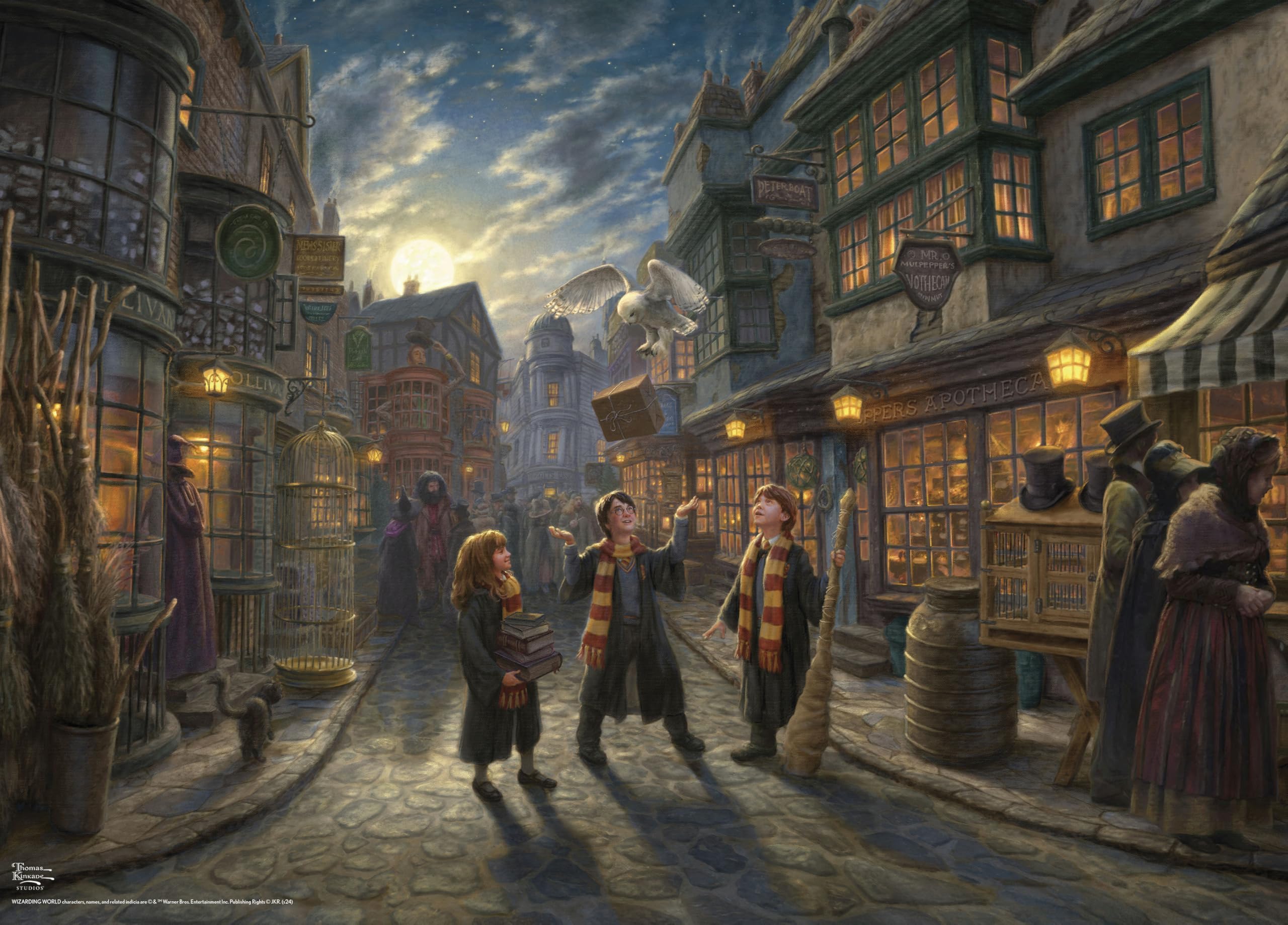 Ceaco - Thomas Kinkade - Harry Potter - Wizarding World - Diagon Alley - 1000 Piece Jigsaw Puzzle