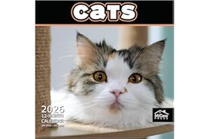 MICASA PRESS Cats 2026 Wall Calendar 12 Month | 12" x 24" Open | Thick & Sturdy Paper | Holiday Gift | Cute Kitten Cat Calendar 2026