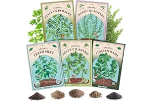 Seedboy Organic 5 Herb Variety Pack: Basil, Mint, Rosemary, Parsley, Cilantro for Planting Indoor and Outdoor, Non-GMO and USDA Certified Seed Packets (5 Herb Variety Pack)
