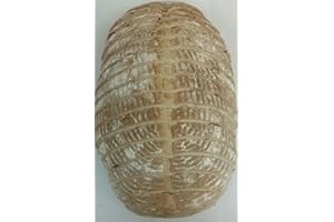 GOURMET MARKET Black Bull Sourdough Boule Bread Pack of 2 (Rounds 24 oz)