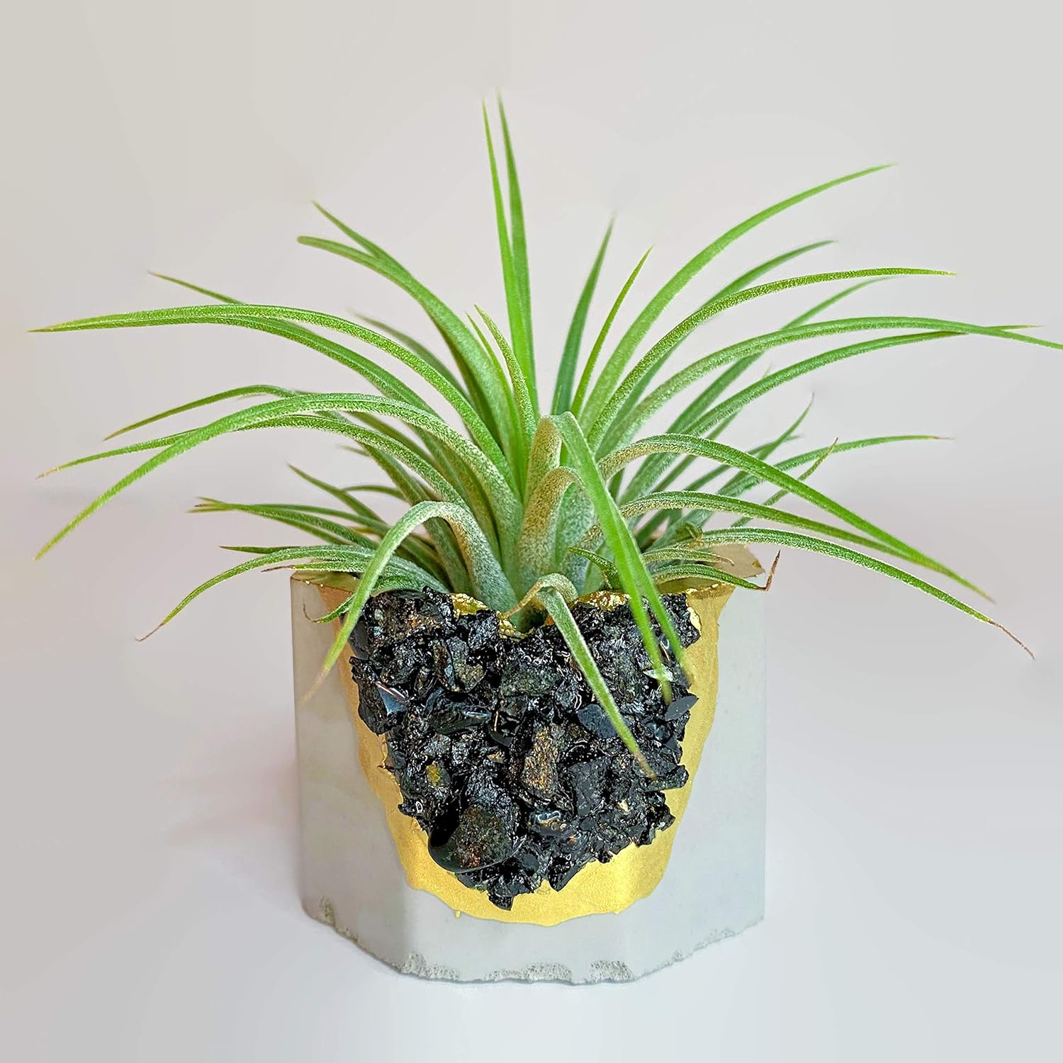 Agate Planters for small plants a succulents All colors available