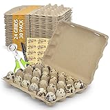HavRixor Quail Egg Cartons 30 Pack- Holds Up to Two