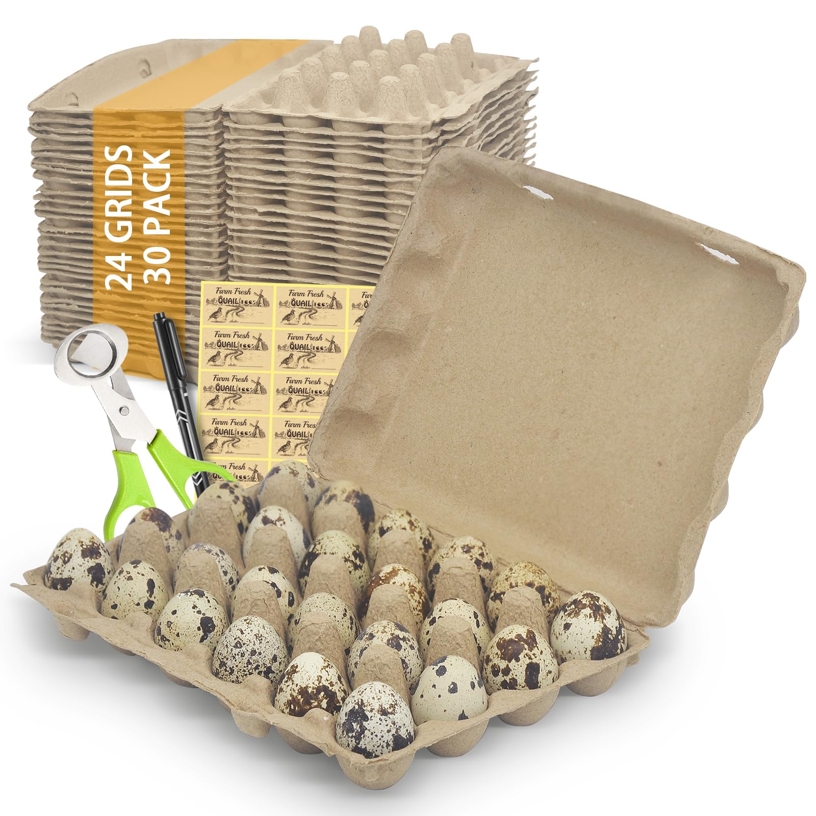 HavRixor Quail Egg Cartons 30 Pack- Holds Up to Two