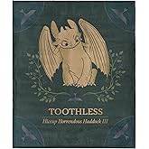 How to Train Your Dragon Hiccup and Toothless Silk Touch Throw Blanket 50x60 inches