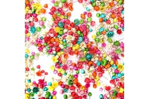 WOWAGOGA 710 Pieces Mini Natural Dried Flowers Colourful Dried Little Star Flowers Heads Real Dried Pressed Flowers for Jewelry Candle Card Making DIY Resin Ornaments