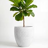 15" Textured Drum Outdoor Planter, Off-White, Modern Round Plant Pot | Drainage hole; built to last for patios, balconies, living rooms, offices, caf&eacute;s, hotel lounges, and retail displays