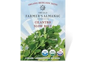 The Old Farmer's Almanac Heirloom Organic Cilantro Seeds (Slow Bolt) - Approx 180 Seeds - Certified Organic, Non-GMO, Open Pollinated, Heirloom, USA Origin