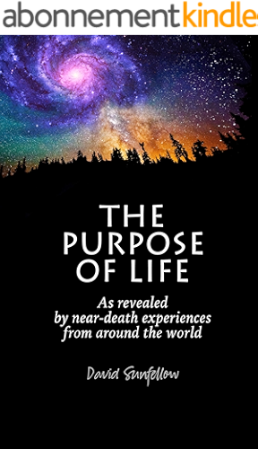 Download The Purpose of Life as Revealed by Near-Death Experiences from Around the World (English Edition) PDF