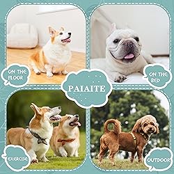 Cozy and Functional Dog Shirts for Small