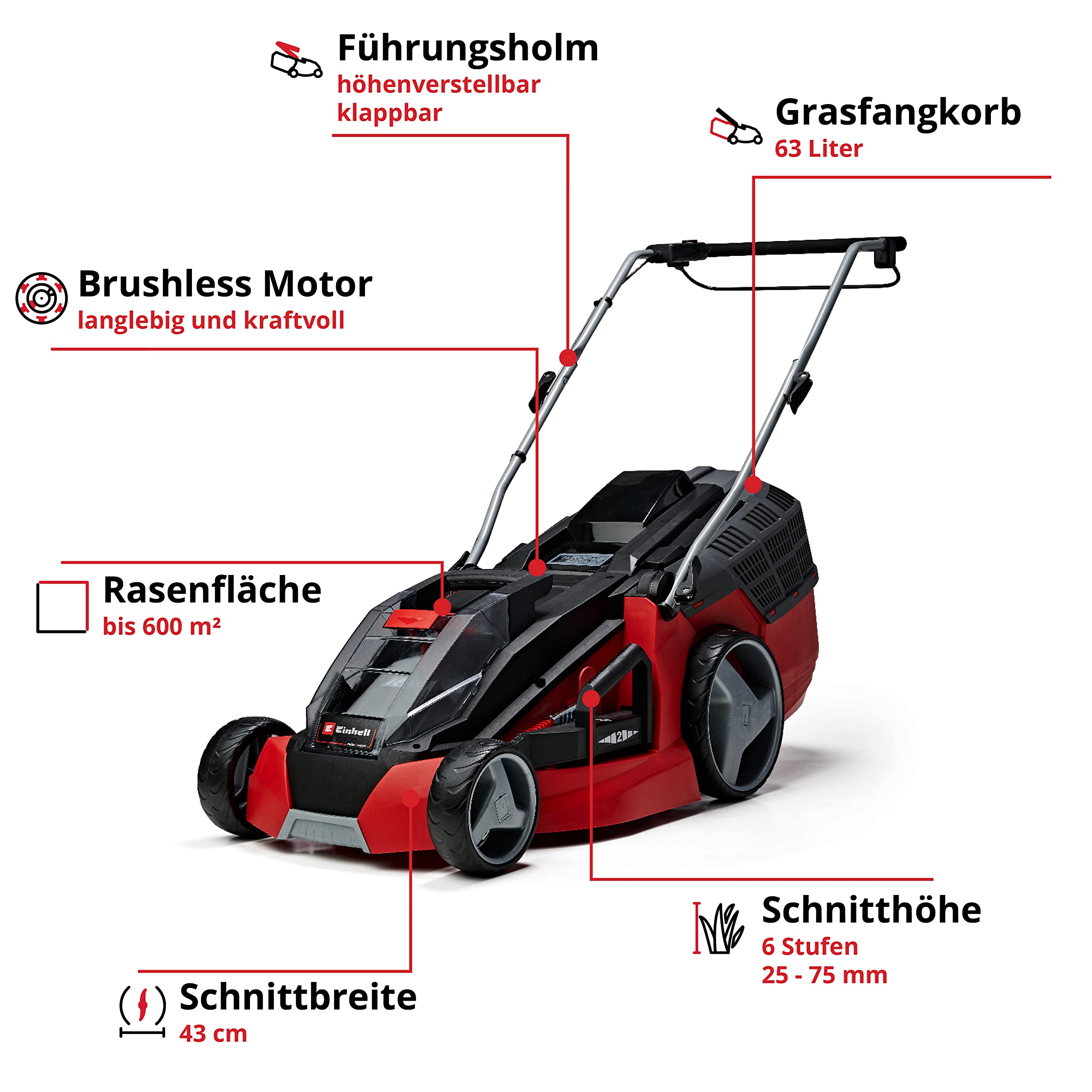 Einhell Akku-Rasenmäher GE-cm 43 Li M Kit Power X-Change (36V, 43 cm Schnittbreite, bis 600 m², Brushless, Mulch-Kit, 63L Fangkorb, 25-75 mm Schnitthöhe, inkl. 2X 4,0Ah + 2X Ladegerät) 3