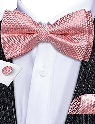 Barry.Wang Blush Pink Bow Ties for Men Pre-tied Bow