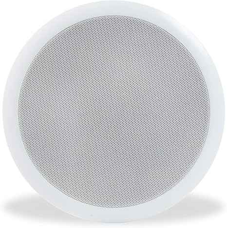 100v ceiling speaker