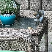 Amazon.com : Ivermectin Paste Dewormer - 6.08g dose @ 1.87 ...