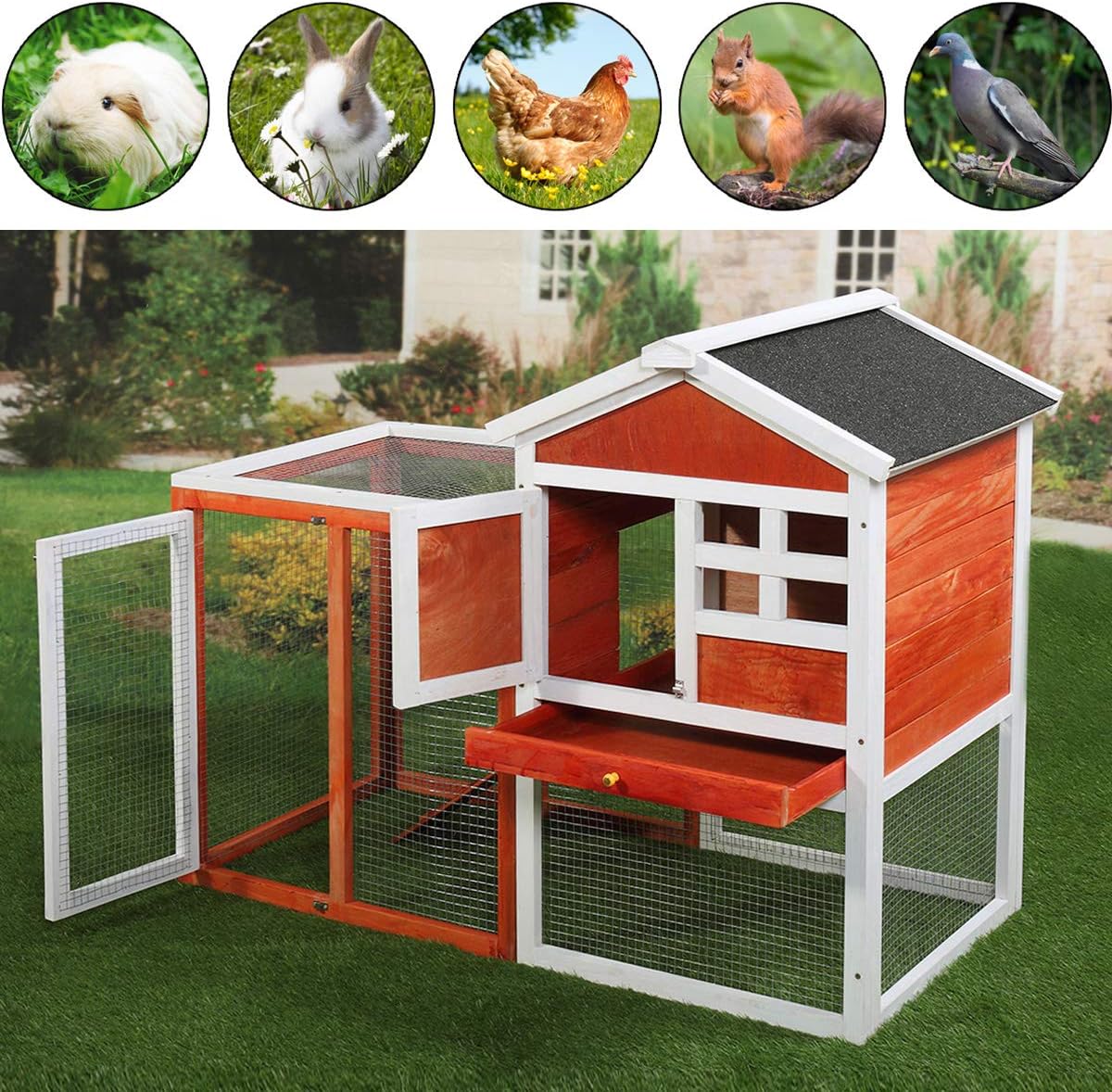 jaxpety rabbit hutch