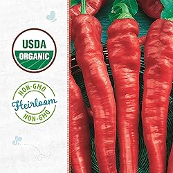 Back to the Roots 100% Organic Seed Packet - Chili