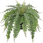 Hollyone Artificial Fern Plants in Pot 18.8" Small Artificial Boston Fern 24 Leaves for Outdoors & Indoor Faux Potted Plant Fake Ferns Bush Plant Patio Garden Farmhouse Porch Home Decor Dusty Green