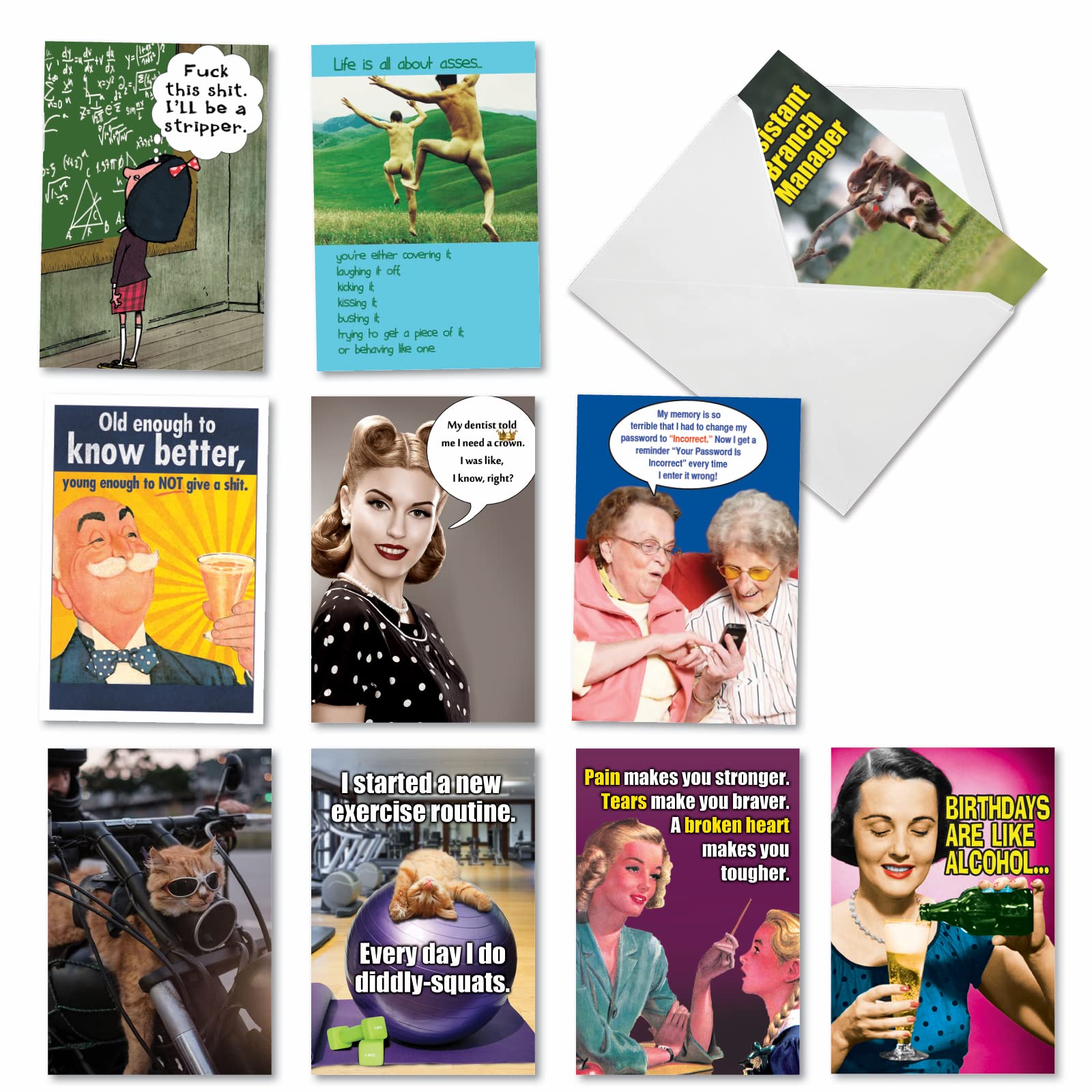 NobleWorks - 10 Funny Birthday Cards Boxed - Bulk Notecard Set, Assorted Humor Photos, Cartoons - A Very Funny Birthday AC5979BDG-B1x10