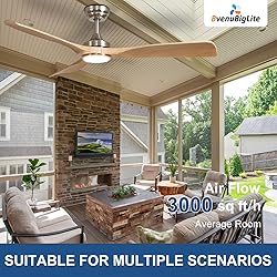 BvenuBigLite Outdoor Ceiling Fan with Light: 52
