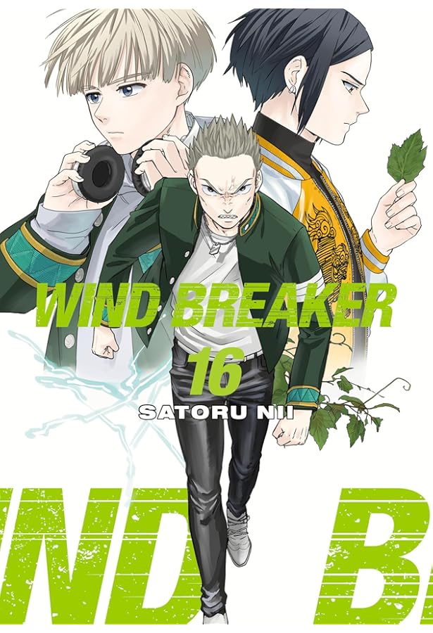 WIND BREAKER 17: Nii, Satoru: 9781646519644: Amazon.com: Books