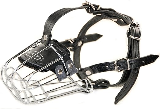 cat carrier amazon uk