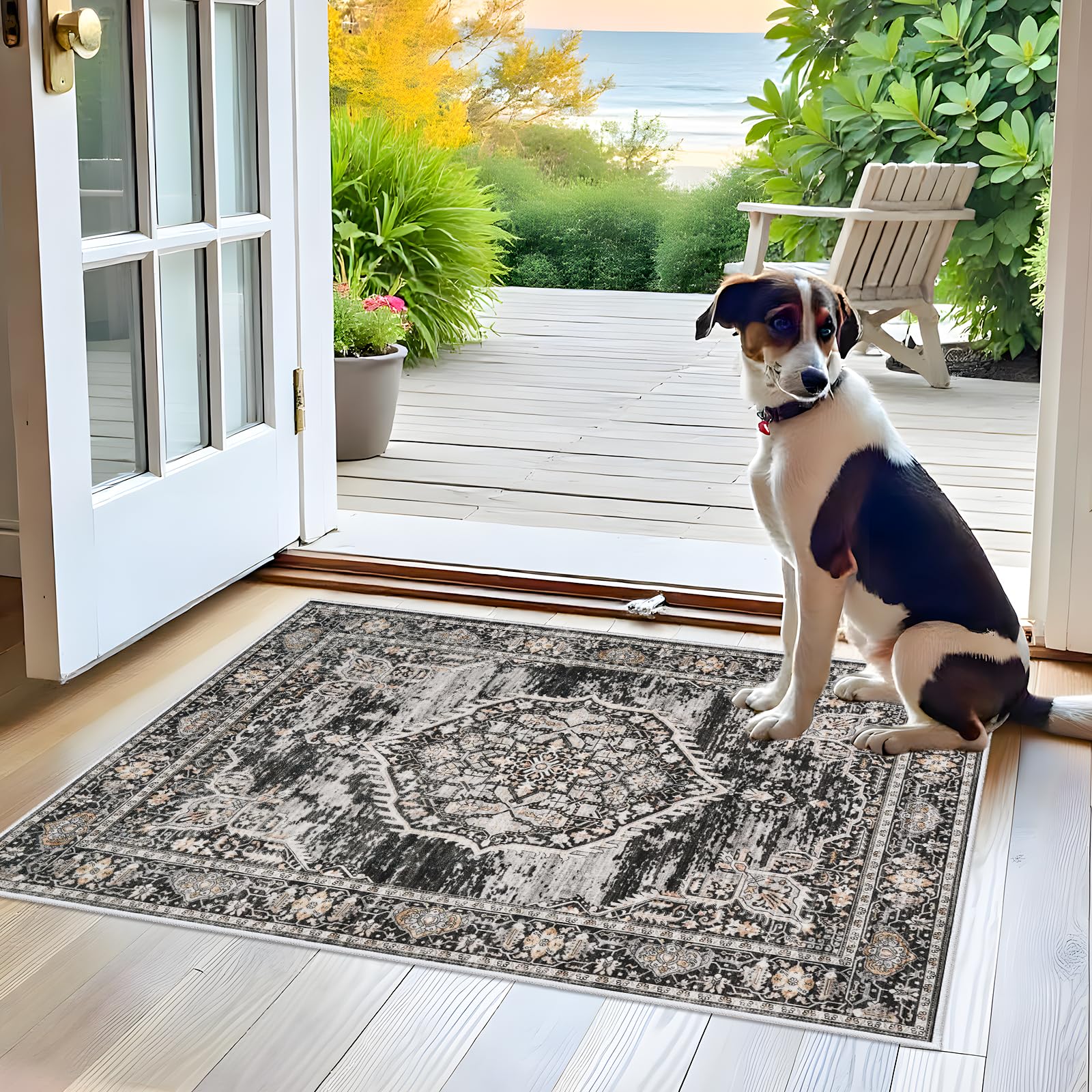 Photo 1 of Washable Area Rugs 2x3 Entryway: Soft Ultra Thin Low Pile Mat Machine Washable Indoor Doormat Lightweight Entry Rug Anti Slip Backing Rugs for Living Room Bedroom Kitchen 2'x3' Black
