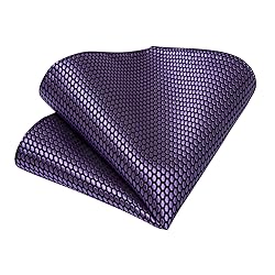 DiBanGu Plaid Tie Men's Silk Tie and Pocket Square