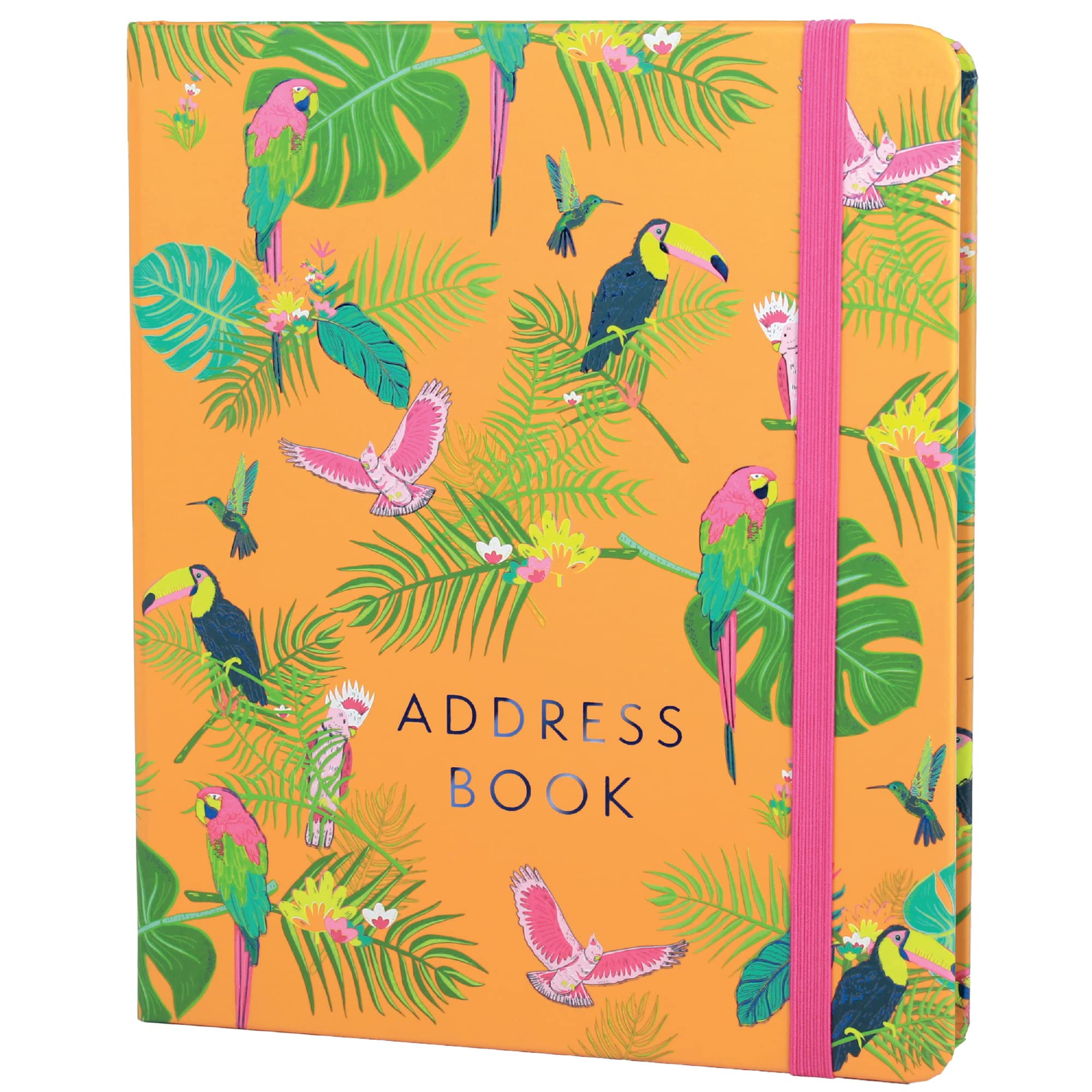 Boxclever Press Large Address Book with 432 Spaces. Address Books with Alphabet Index Hardback, Birthday & Christmas Card Sections, Address Labels & Pocket. Address and Birthday Book - 21.5 x 18.5cm