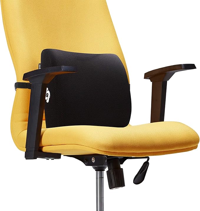 Samsonite SA5244 Lumbar Support Cushion/Gray Ergonomic PillowHelps