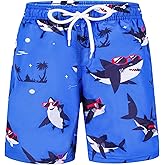 Boys Swim Trunks Toddler Board Shorts Boys Swim Shorts for Toddler Kids Boy 3-14 Years
