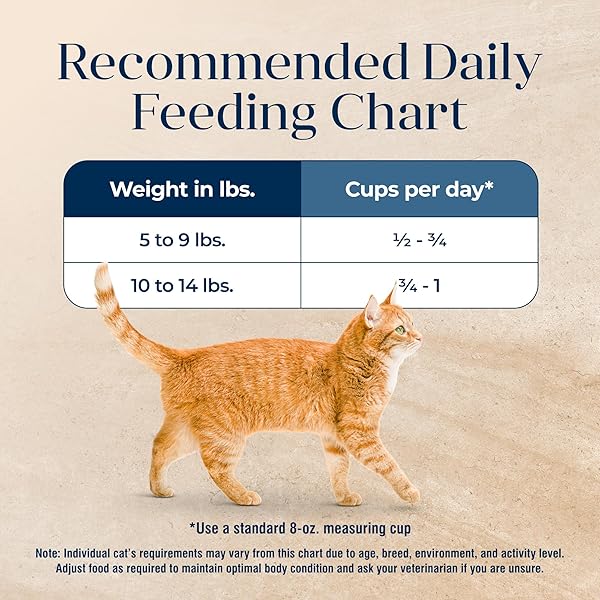 BLUE BUFFALO BASICS GRAIN-FREE DRY CAT FOOD, SKIN & STOMACH CARE, LIMITED INGREDIENT DIET FOR INDOOR CATS, DUCK & POTATO RECIPE, 11-LB. BAG