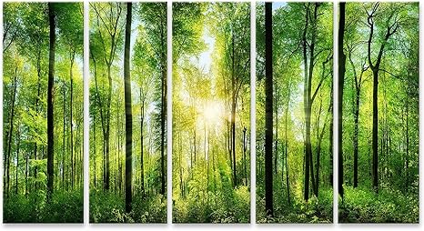 Islandburner Tableau Tableaux Panorama D Une Foret Pittoresque Avec Des Arbres A Feuilles Caduques Frais Et Verts Ou Le Soleil Brille Cadre Sur Toile Impression Photo Affiches Amazon Fr Cuisine Maison