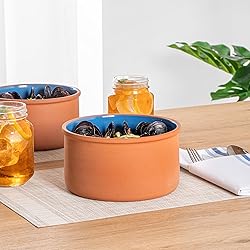 Restaurantware-Terra Tek 68 Ounce Terracotta