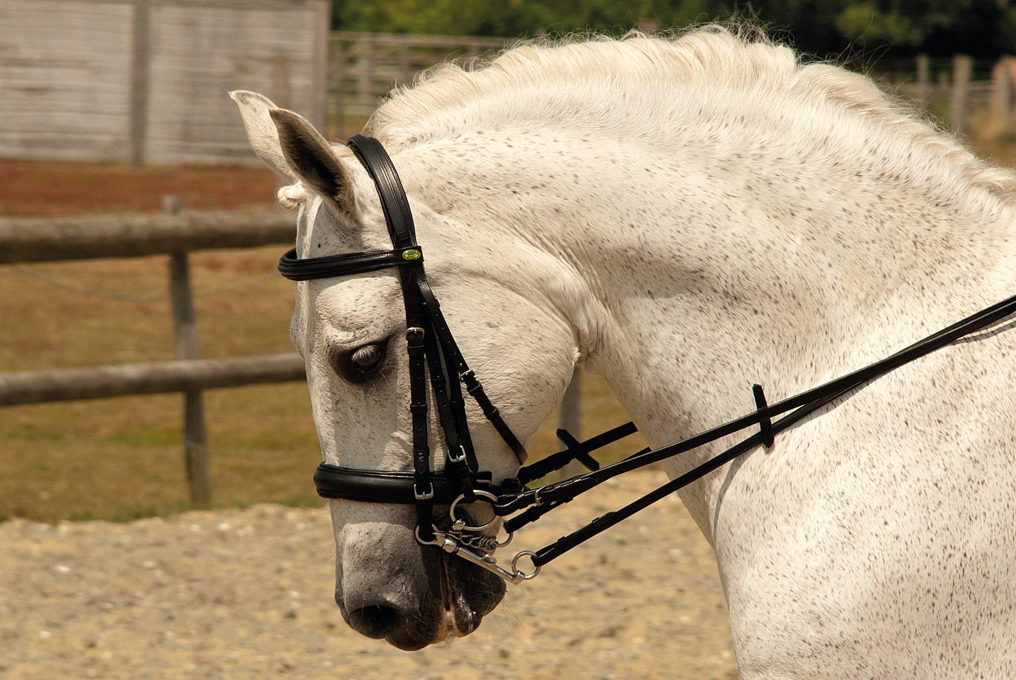 Rhinegold Double Comfort Bridle - X Full - Black