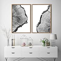 SIGNWIN Framed Canvas Print Wall Art Detail of Tree Rings Nature Plants Photography Minimalism Modern CloseUp Expressive Black and White for Living Room, Bedroom, Office - 16