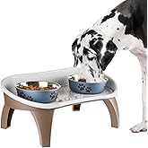 Elevated Pet Feeding Tray with Splash Guard & Non-Skid Feet, Raised Dog Bowl Stand 21″ x 11″ x 8.5″ with Two Stainless Steel Bowls for Food & Water, Comfortable Mealtime for Dogs & Cats by PETMAKER