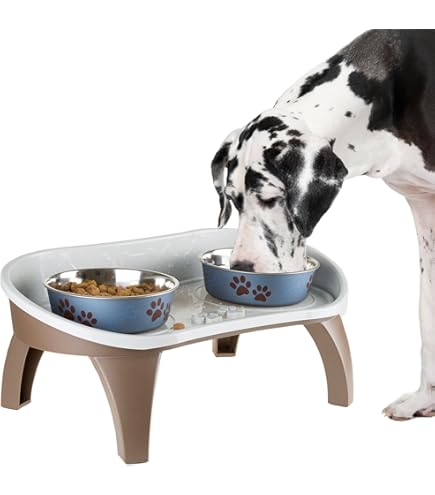 Feeding Bowls Reddy Dog Bowls Reddy Pet Food Storage Reddy Dog - Main Image