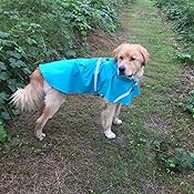 カスタマー画像