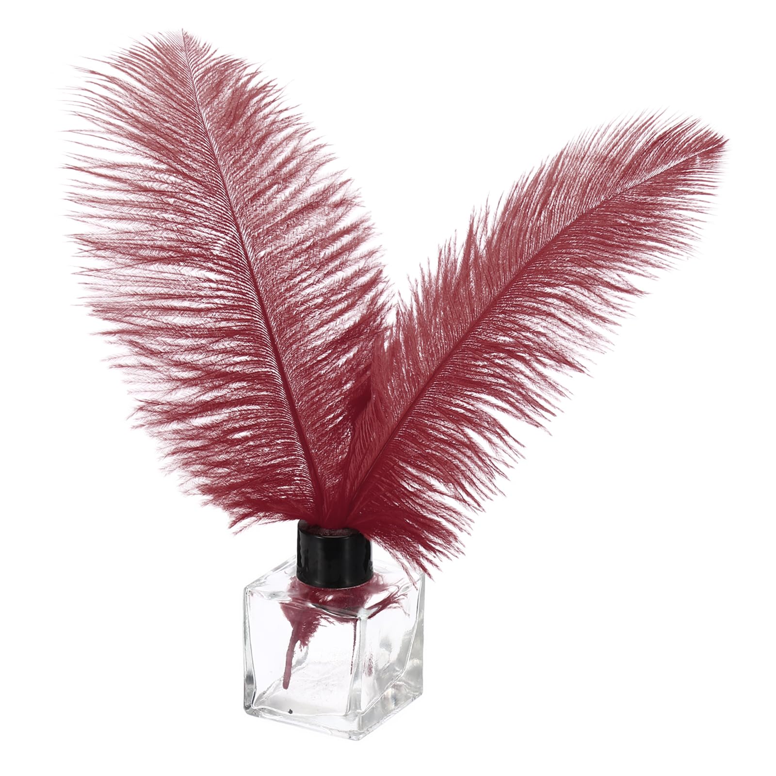 PATIKIL 30 Pcs Natural Ostrich Feathers Bulk 8-10 Inch/ 20-25 cm Large Ostrich Feathers for Crafts Home Decoration Wedding Party Vase Decor (Burgundy)