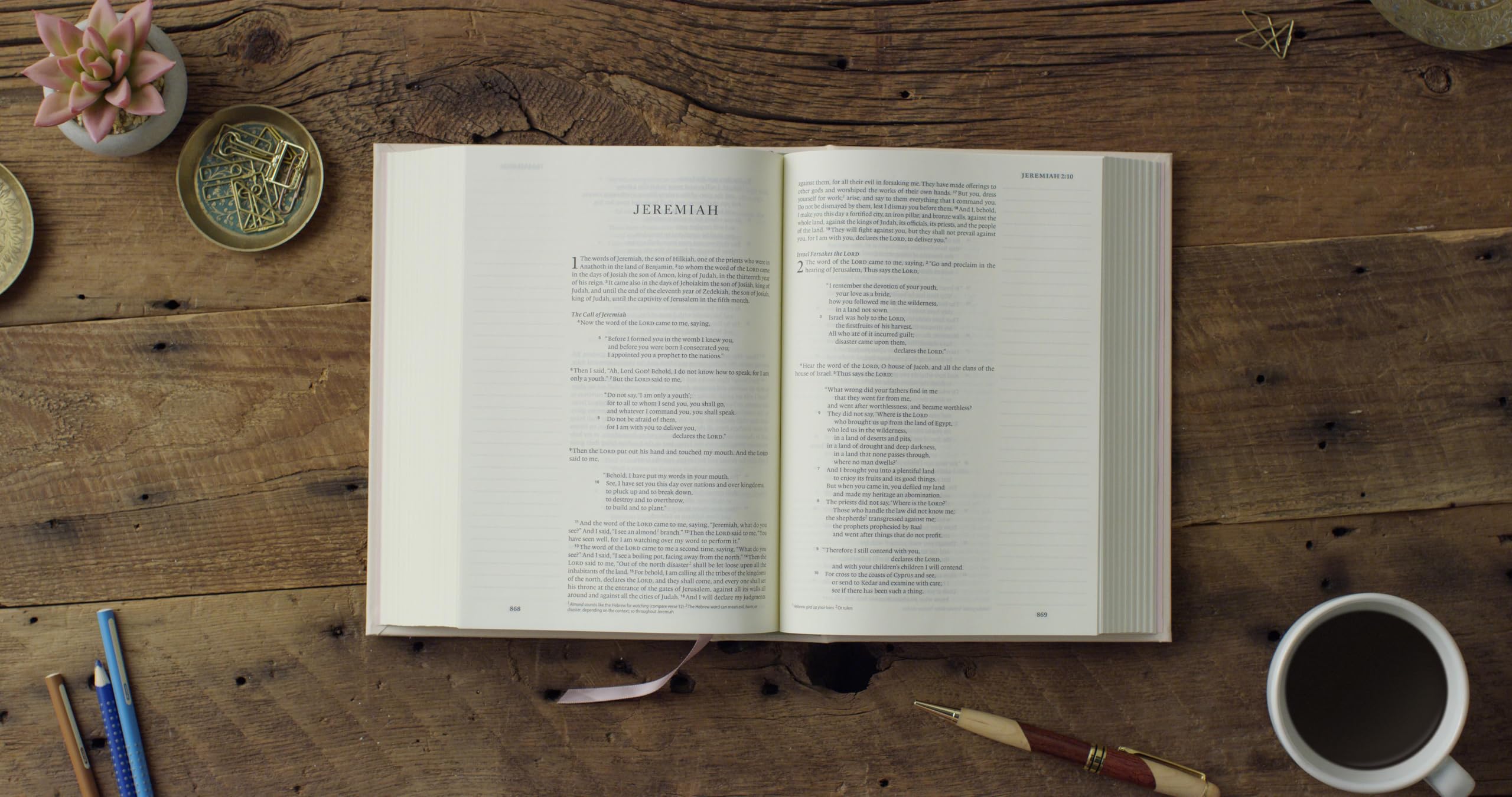 ESV Single Column Journaling Bible (Cloth over Board, Rosehip Design): Holy Bible, English Standard Version ESV Single Column Journaling Bible (Cloth over Board, Rosehip Design): Holy Bible, English Standard Version Hardcover