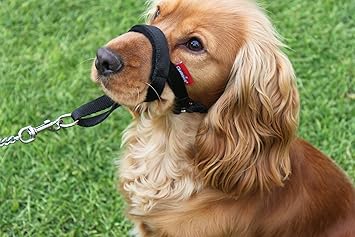 padded dog head collar