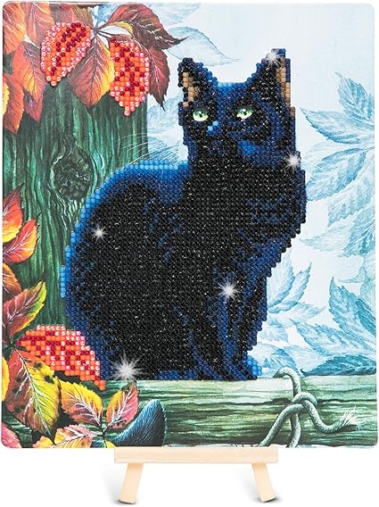 Amazon.com: Crystal Art Kit Framed Cat 