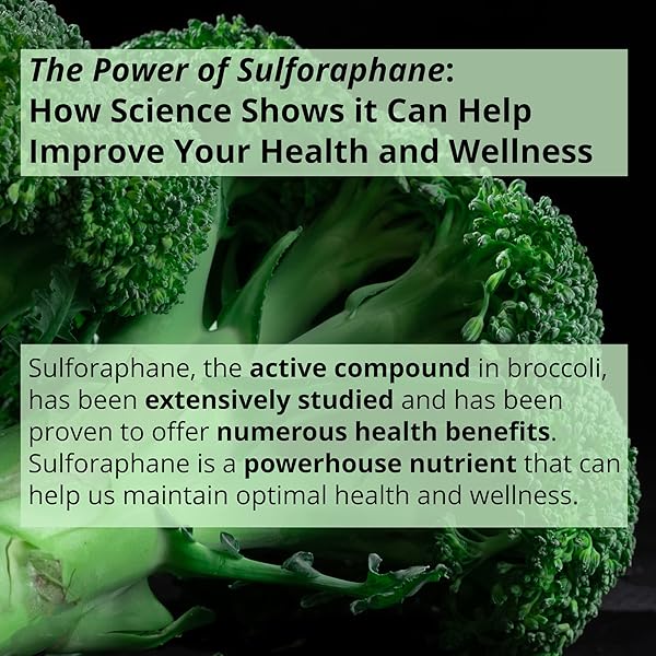 GIGANTIC SULFORAPHANE + MYROSINASE 10MG (120 CAPSULES) – INCLUDES VITAMIN C, PROBIOTICS, PREBIOTICS TO HELP SUPPORT ANTIOXIDANT, IMMUNE HEALTH – MADE IN USA