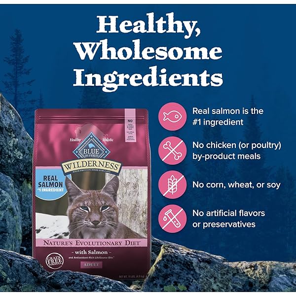 BLUE BUFFALO WILDERNESS NATURAL HIGH PROTEIN, GRAIN FREE DRY FOOD FOR ADULT CATS, SALMON, 11-LB BAG
