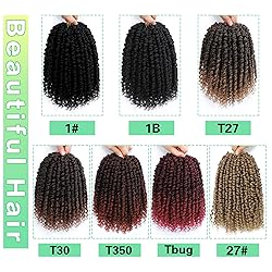 Ameli Passion Twist Crochet Hair 10 Inch Passion