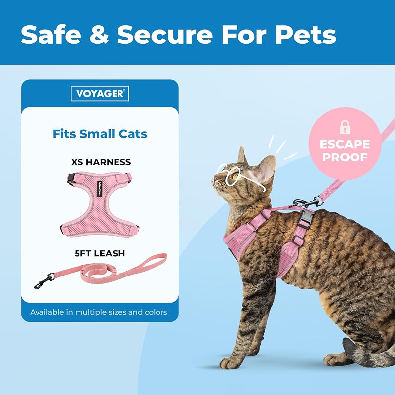 Voyager Ensemble harnais et laisse anti-fugue pour chat avec coutures réfléchissantes, poignée en néoprène de 1,5 m – Convient aux chats, chatons de petite, moyenne et grande taille,