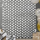 LOLStar Silver Stars Birthday Decorations 2 Pack 3.3X6.6 ft Each Silver Star Backdrop Foil Fringe Curtains Streamers for Twinkle Star Space Celebration Disco Party Decor Graduation 2026