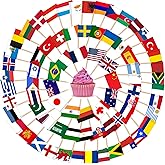 AhfuLife 100pcs Country Flag Toothpicks Mini International Flags Picks | Double-Sided Small World Toothpicks Flags for Appetizer, Cupcake Topper, Cocktail, Food, Sports, Bar Club Party Decor